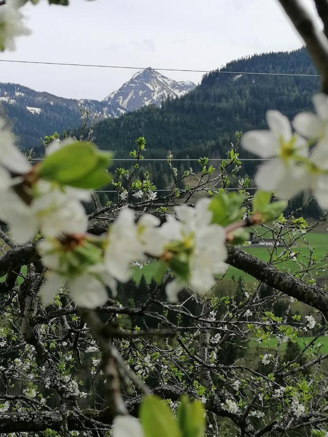 Ferienwohnung Weissacher Lend Esterno foto